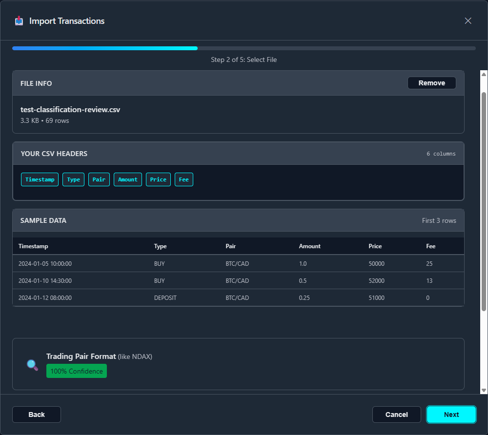 File analysis and format detection